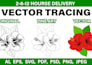 vector tracing, retrace, redraw, convert logo or image